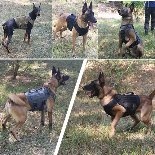  Tactical Military Dog Harness and Leash Set cashymart