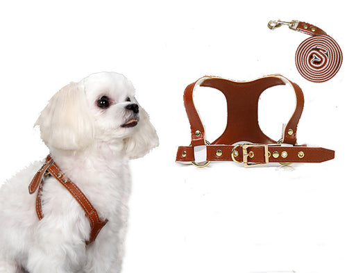  Traction Suit Chest Strap Dog Leash cashymart