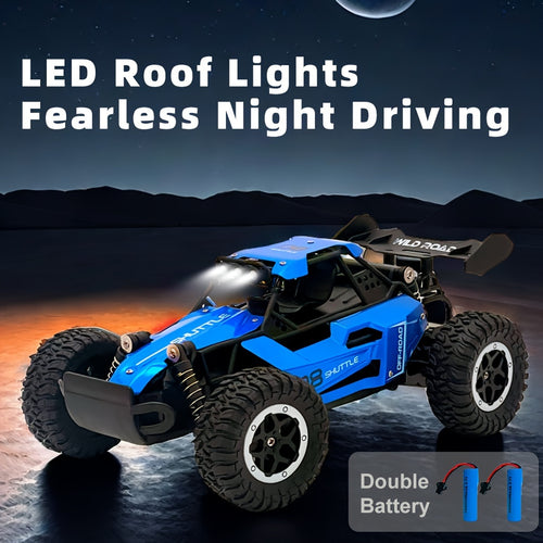  Turbocharged 1:16 RC Race Car cashymart