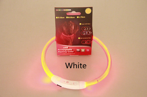  USB Rechargeable Safety Pet Collar cashymart