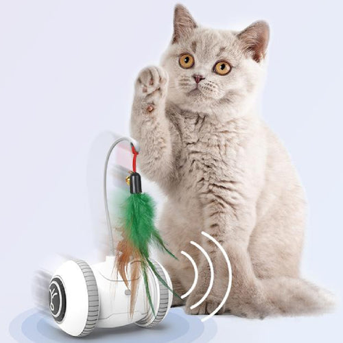  Ultimate Interactive Cat Playmate cashymart