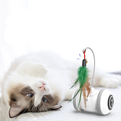  Ultimate Interactive Cat Playmate cashymart
