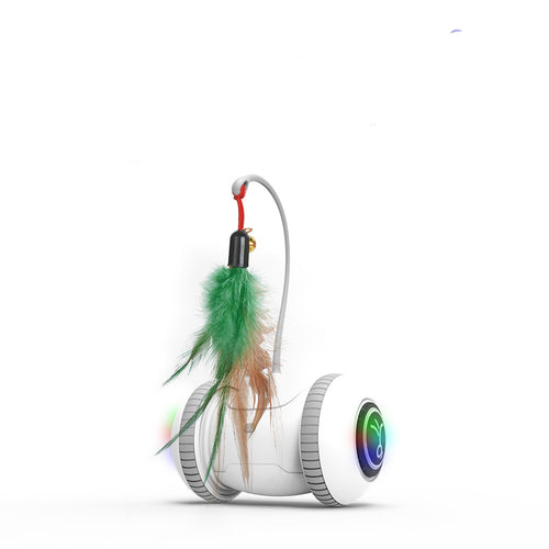  Ultimate Interactive Cat Playmate cashymart