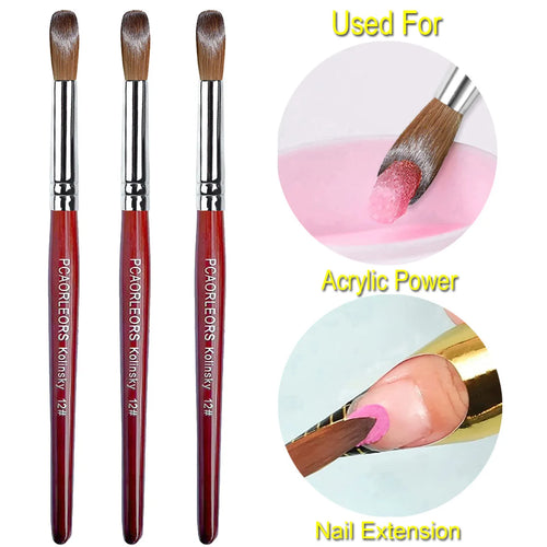  UsiDaer Kolinsky Nail Brush cashymart