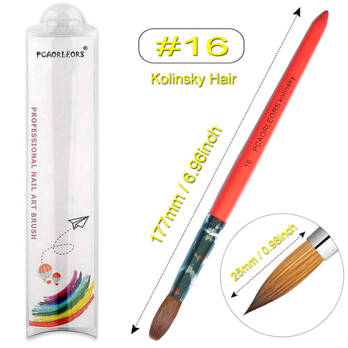  UsiDaer Kolinsky Nail Brush cashymart