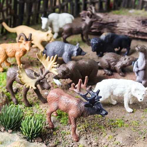  Wildlife & Marine Adventure Set cashymart