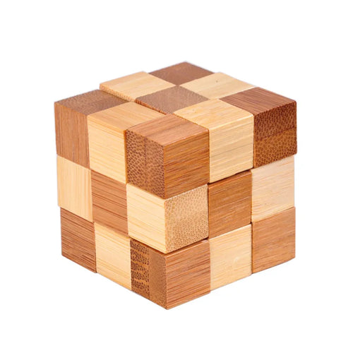  Wooden Brain Teaser Game cashymart