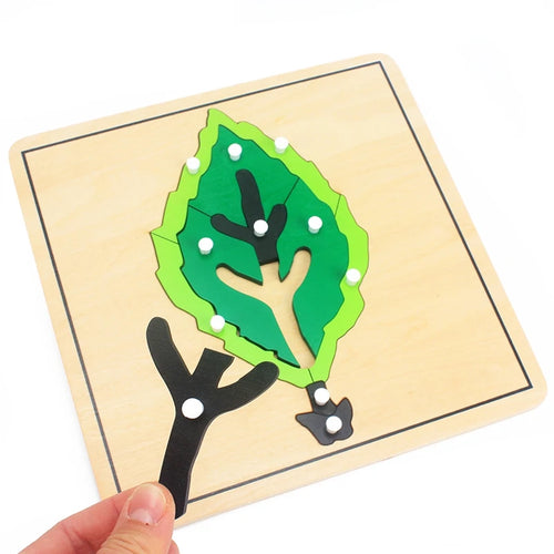  Wooden Plant Growth Puzzle Toy cashymart