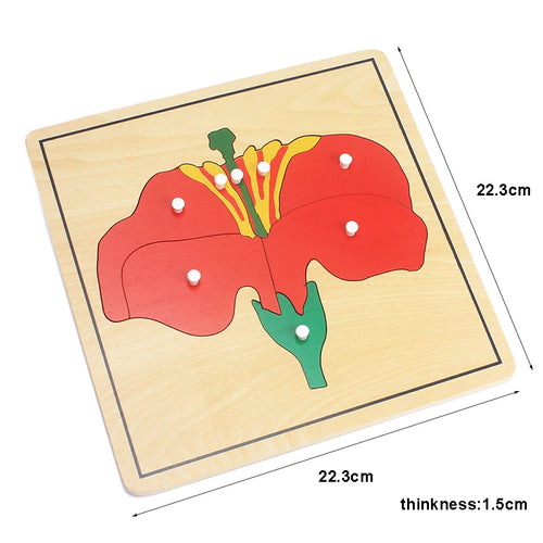  Wooden Plant Growth Puzzle Toy cashymart