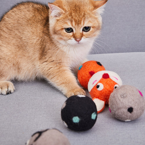  Wool Toys for Cats cashymart