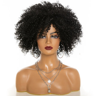  High-Temperature Afro Kinky Curly Hair Wig cashymart