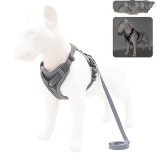  Pet Chest Harness cashymart