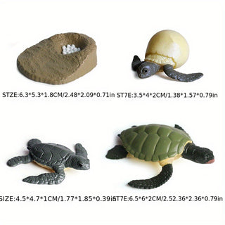  Cute Animal Life Cycle Models cashymart