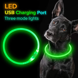  USB Rechargeable Safety Pet Collar cashymart