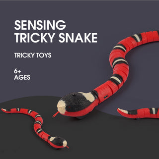  Interactive Smart Sensing Snake Cat Toy cashymart