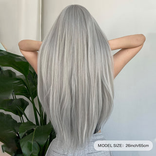  Silvery Grey Dream Wig cashymart