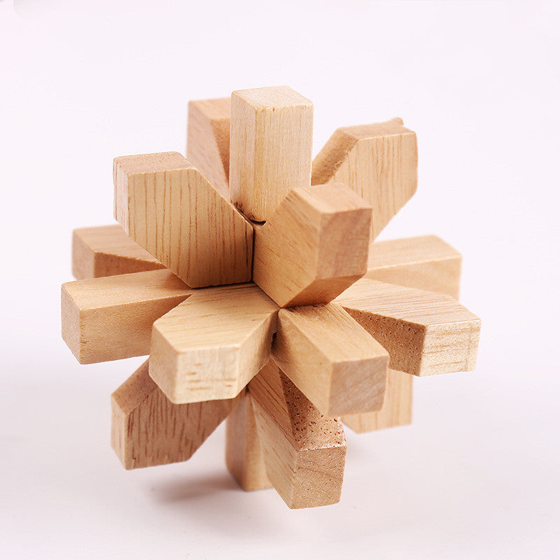  Educational Wood Lock Puzzle Set for Kids cashymart