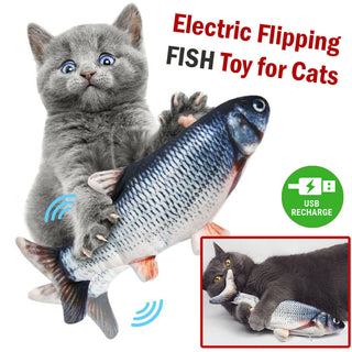  Interactive Electric Fish Cat Toy cashymart