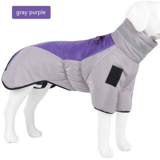  Dog Warm and Cozy in Style cashymart