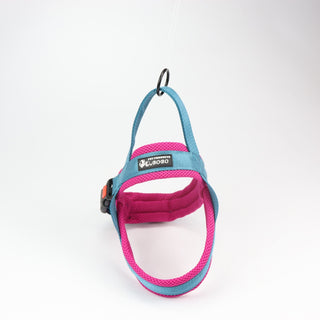  Pet Chest Harness and Leash Set cashymart