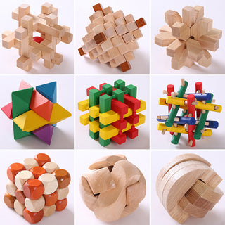  Educational Wood Lock Puzzle Set for Kids cashymart