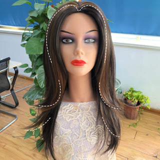  Chic Brown Highlight Layered Wig cashymart