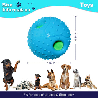  Squeaky Black Dog Play Ball cashymart