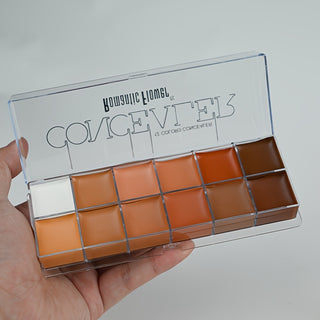  12 Color Contouring Concealer cashymart