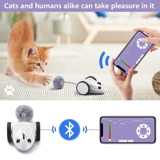  Smart App-Controlled Electric Mouse Cat Toy cashymart