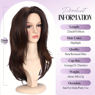  Chic Brown Highlight Layered Wig cashymart