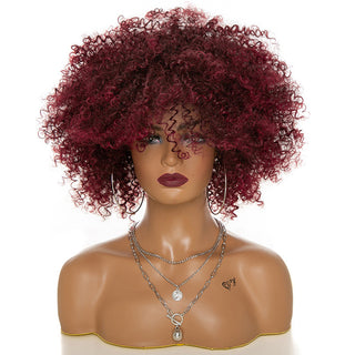  High-Temperature Afro Kinky Curly Hair Wig cashymart