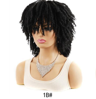  Small Curly African Wig cashymart