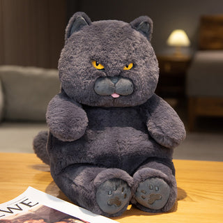  British Shorthair Blue Cat Plush Stuffed Toy cashymart