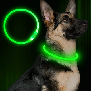  USB Rechargeable Safety Pet Collar cashymart