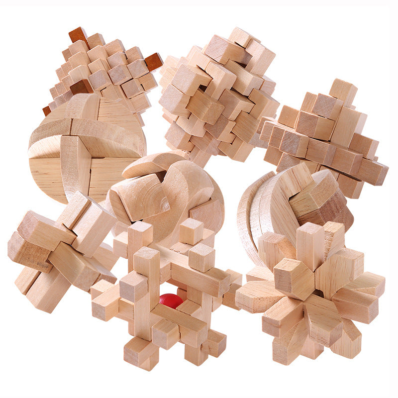  Educational Wood Lock Puzzle Set for Kids cashymart