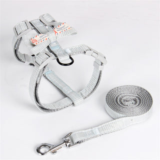  Trendy Nylon Pet Leash for Stylish Walks cashymart