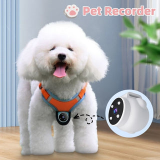  Pet Tracker Collar Dogs And Cats  Recording Camera cashymart