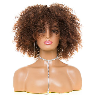  High-Temperature Afro Kinky Curly Hair Wig cashymart