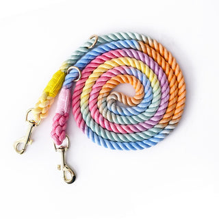  Versatile Double-Ended Dog Leash cashymart