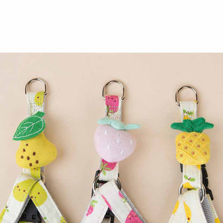  Fruit Series Dog Collar cashymart