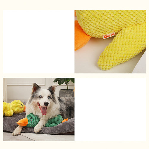  dog toy duck that quacks cashymart