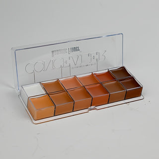  12 Color Contouring Concealer cashymart