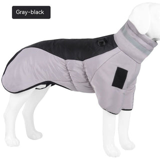  Dog Warm and Cozy in Style cashymart