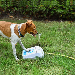  Automatic Dog Drinking Fountain cashymart