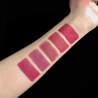  5-in-1 Velvet Matte Lipstick Set cashymart