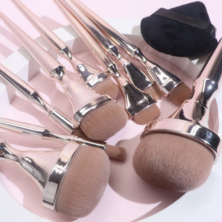  9-Piece Makeup Brush & Sponge Collection cashymart