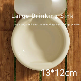  Portable 500ml Pet Water Bottle cashymart