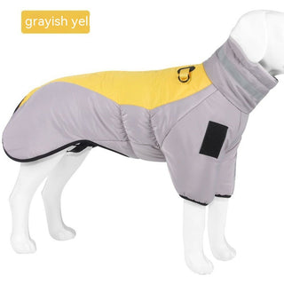  Dog Warm and Cozy in Style cashymart