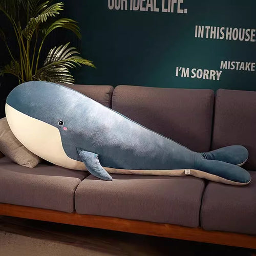  plush toy whale cashymart