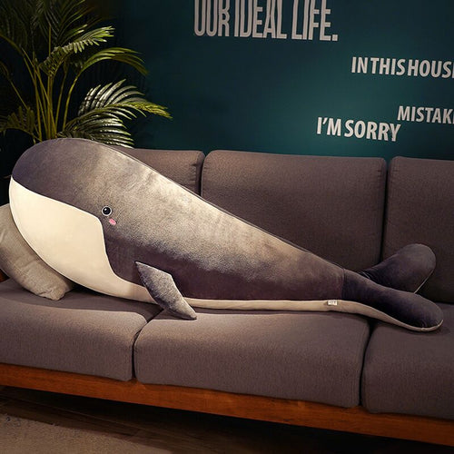 plush toy whale cashymart